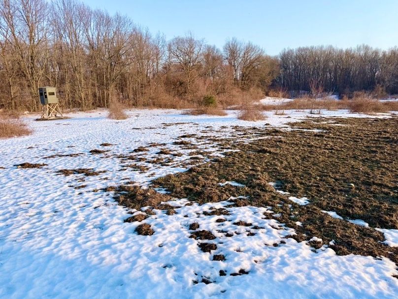 28 3rd field low food plot 360 blind