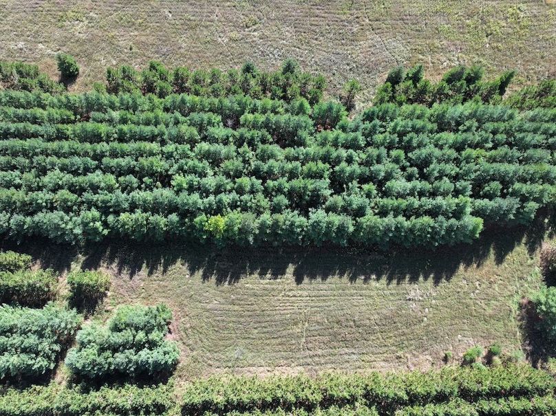 dji_fly_20240924_142306_0292_1727213957172_photo