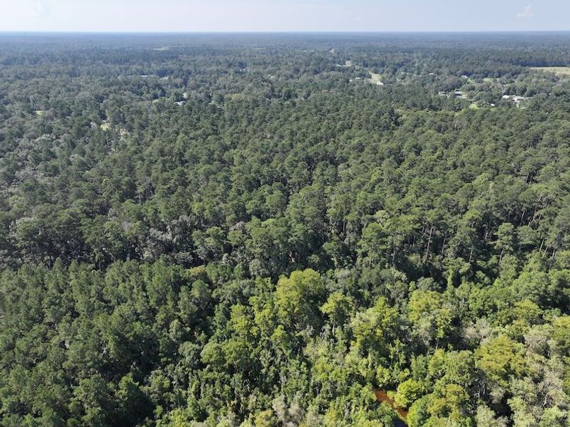 dji_fly_20250826_104156_0374_1756227537136_photo