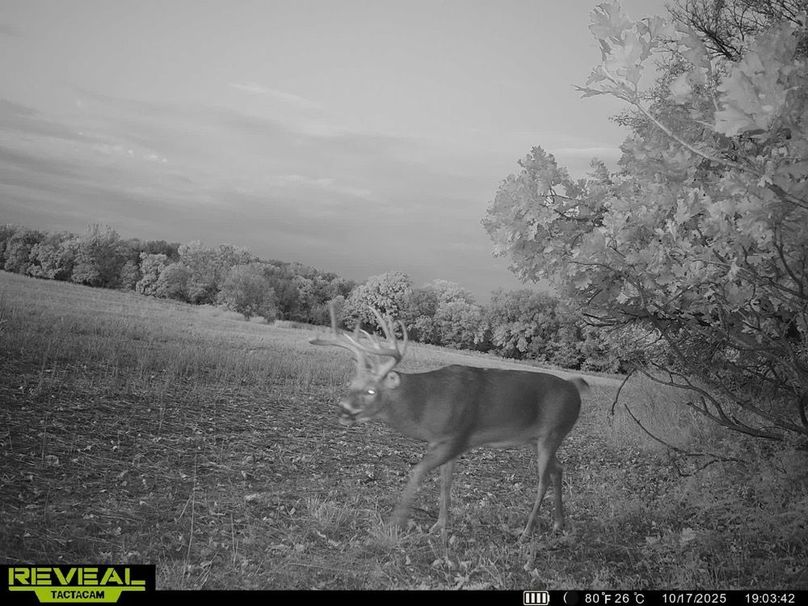 860322062399974-100-4-10182025031603-HD-SYEW0508