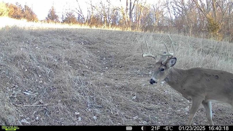 TRAIL CAM 25