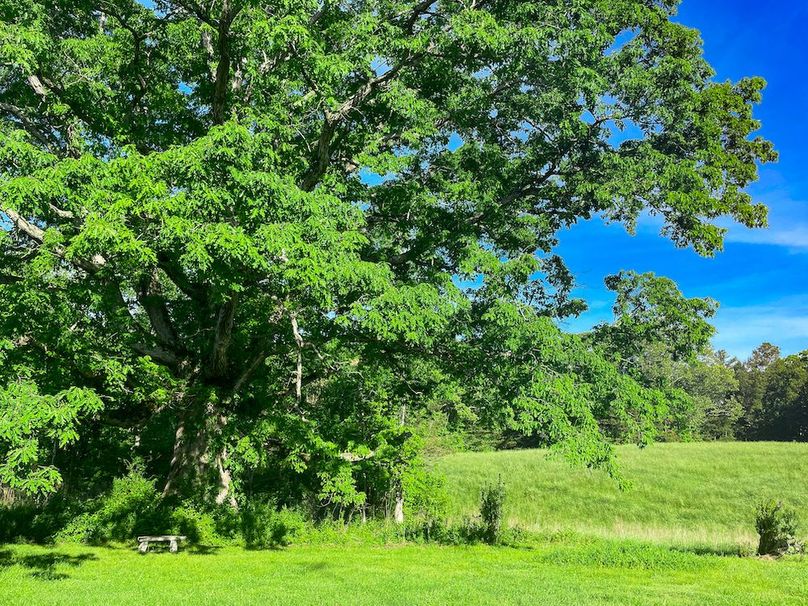 Haralson GA 100 McIntyre-26