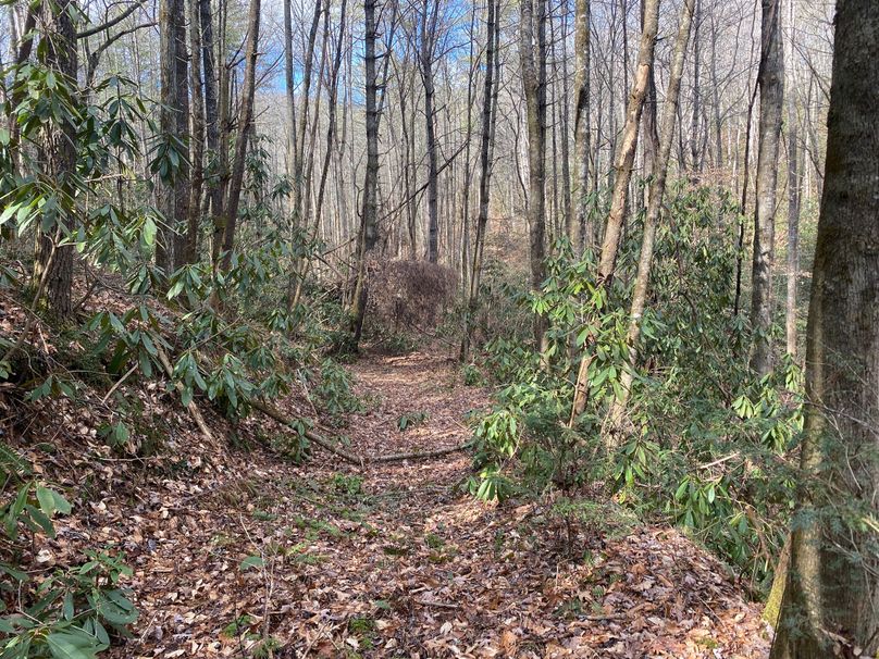 Cherokee 97.28+_- Stiles-42