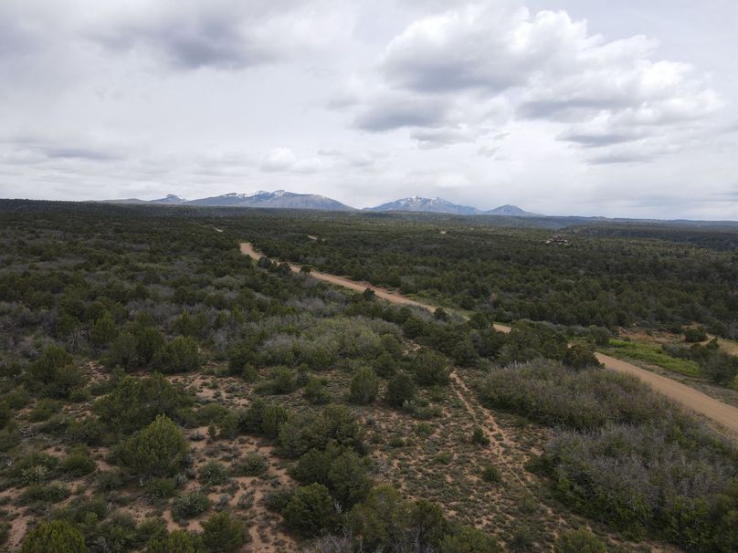 dji_export_1685968221902