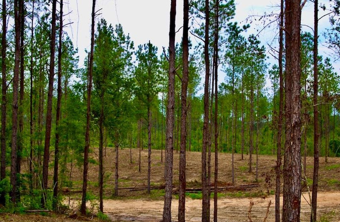 4C847329-B22D-44DC-8D46-3158FC318D39_1_105_c