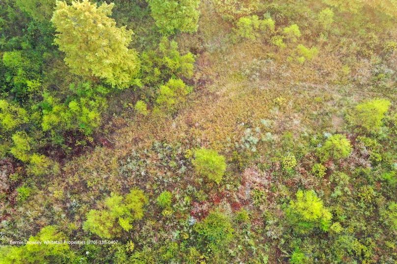 DeSoto 109 Prewett -23