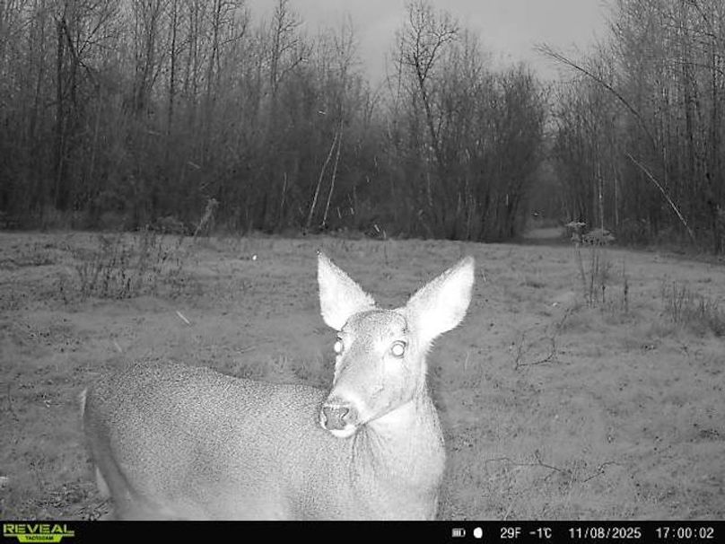 864049056287651-40-4-11082025170002-W1000401