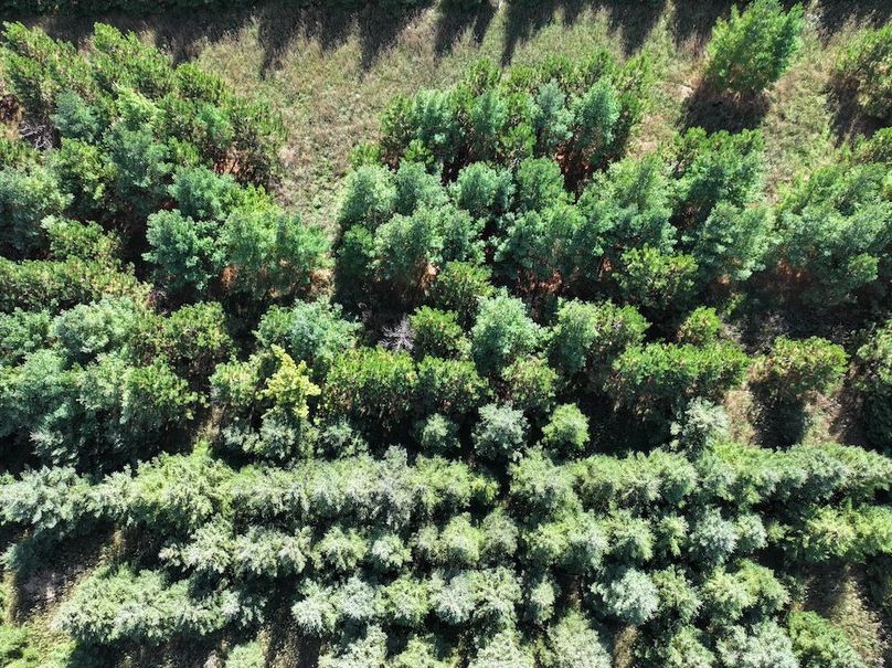 dji_fly_20240924_142416_0294_1727213956186_photo