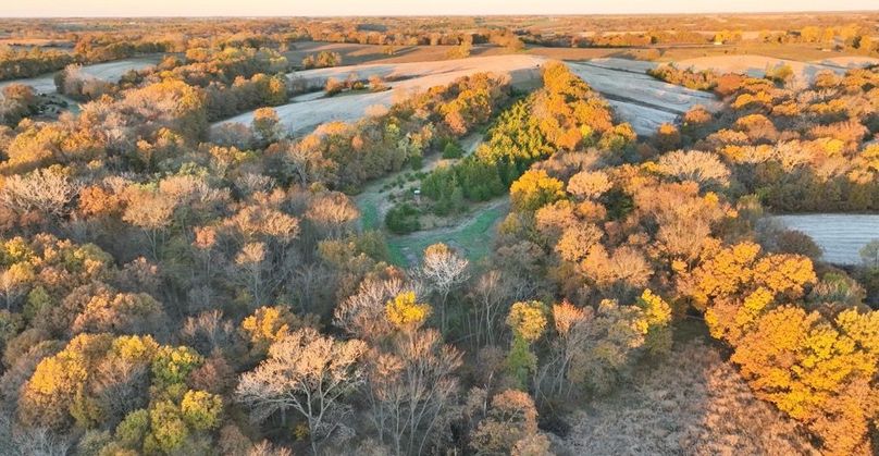 Screenshot 2025-11-20 at 10.09.10 AM