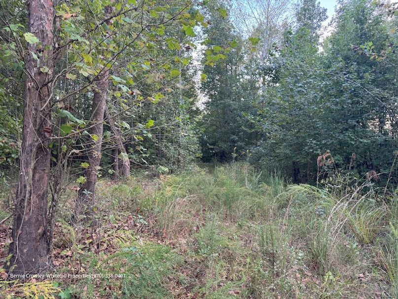 DeSoto 329 Prewett (Thompson) -20