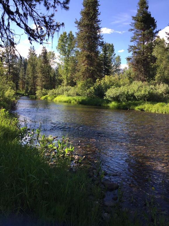 Creek