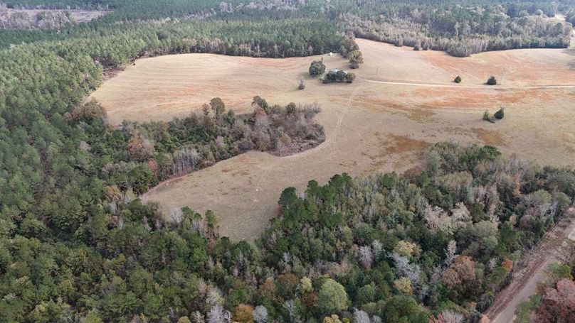 DJI_20251120002308_0919_D