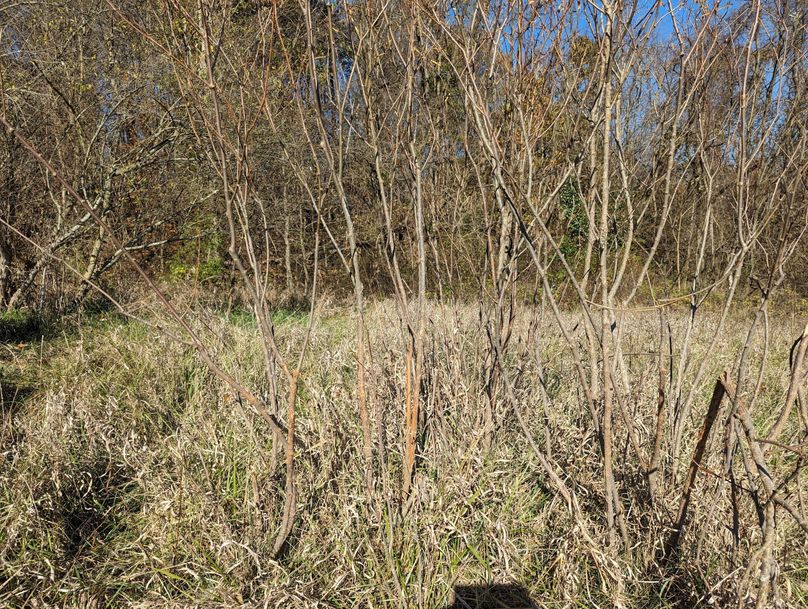 PXL_20231103_154738771