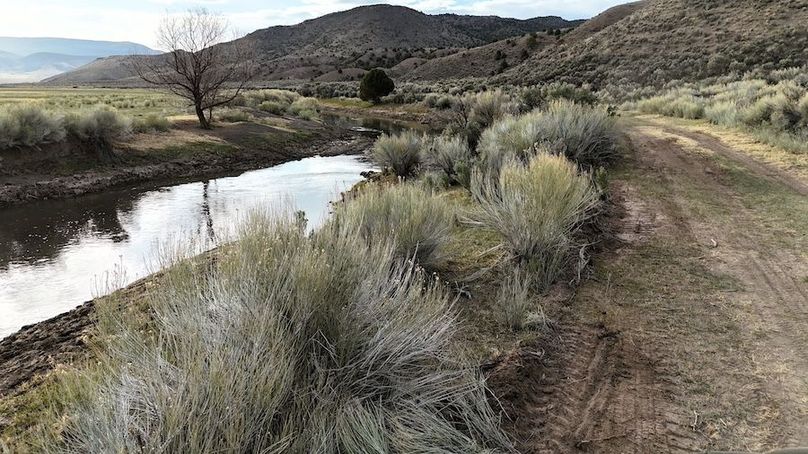 DJI_20250415081930_0246_D
