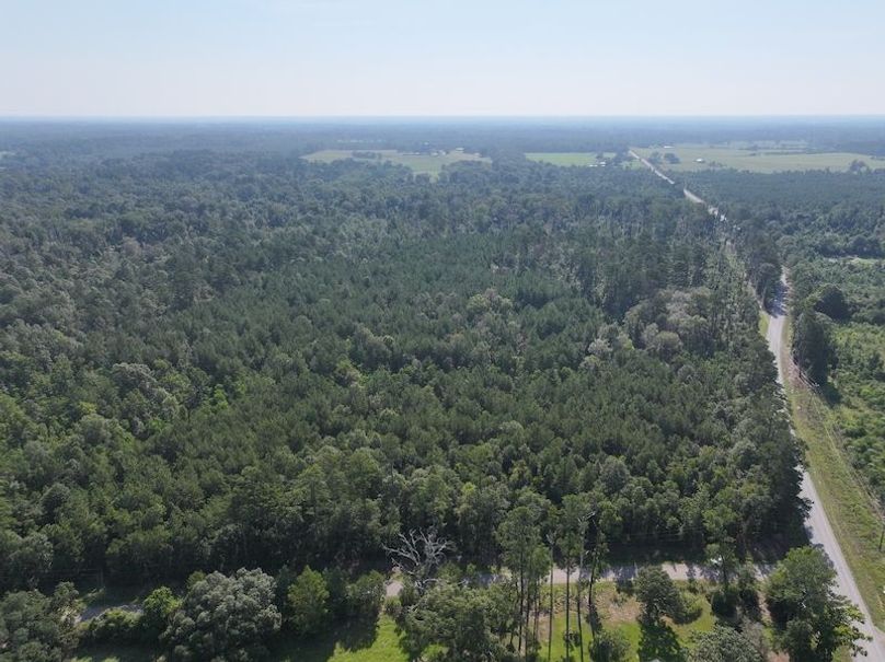 dji_fly_20250818_095236_0365_1755614658071_photo