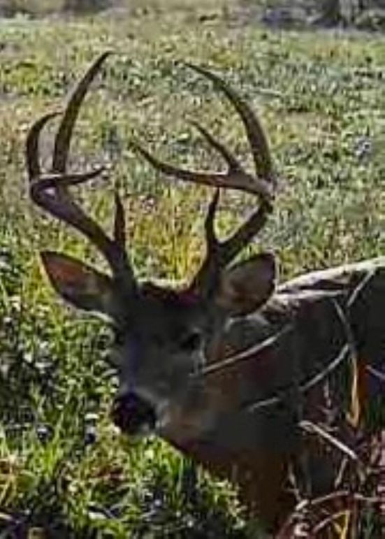 860516060742974-100-4-11082024091038-W1002012