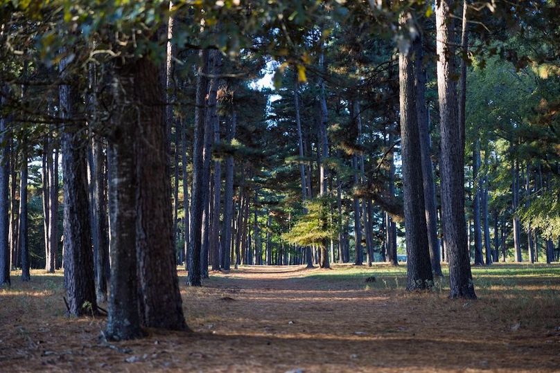 13 harrison 417ac pics-051