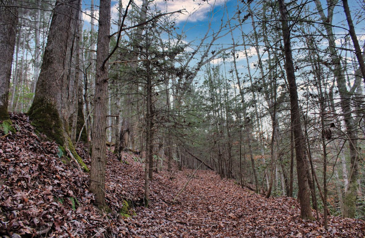 006 nice internal trail system