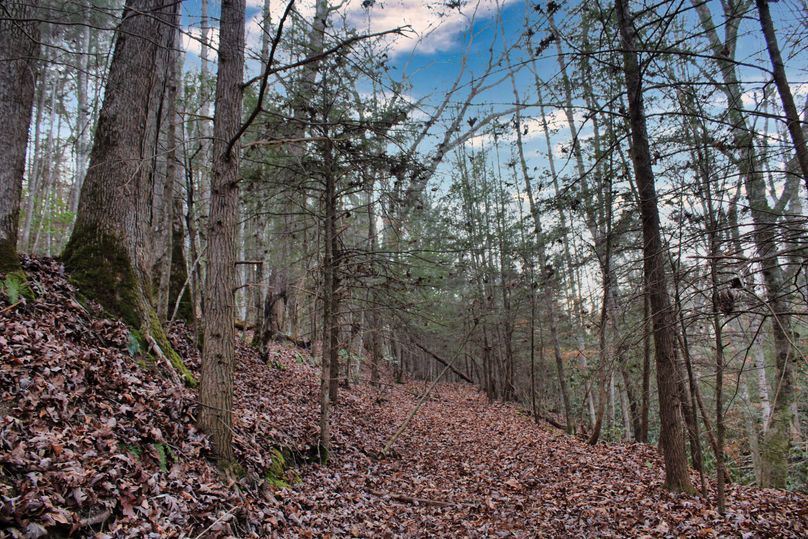 006 nice internal trail system