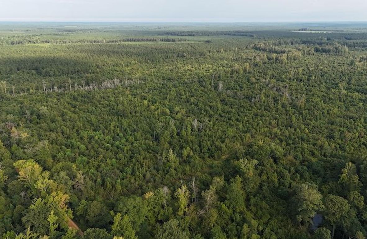 DJI_20250814084709_0052_D