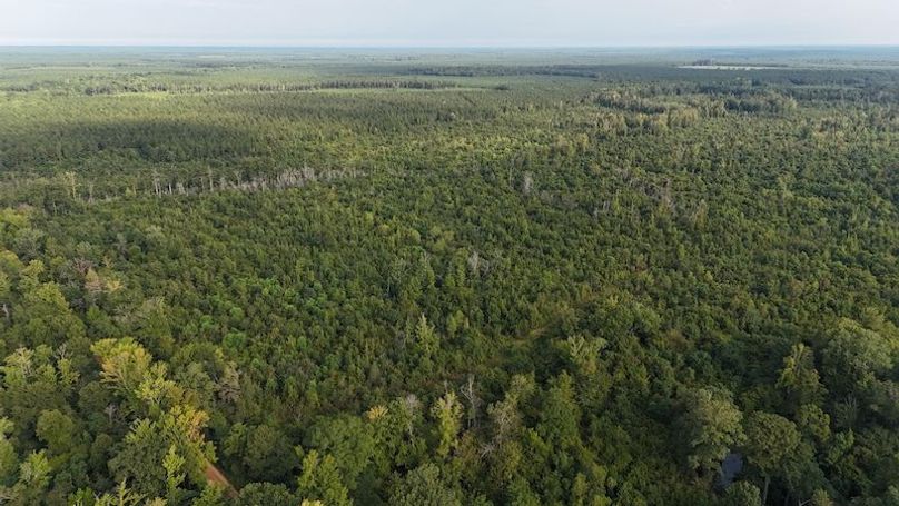 DJI_20250814084709_0052_D