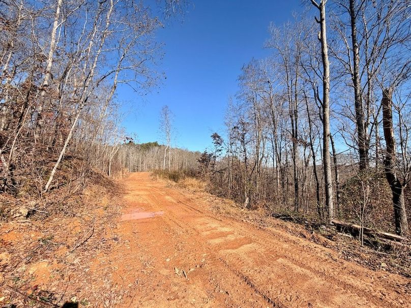 Roane Co TN 396 20251127_60