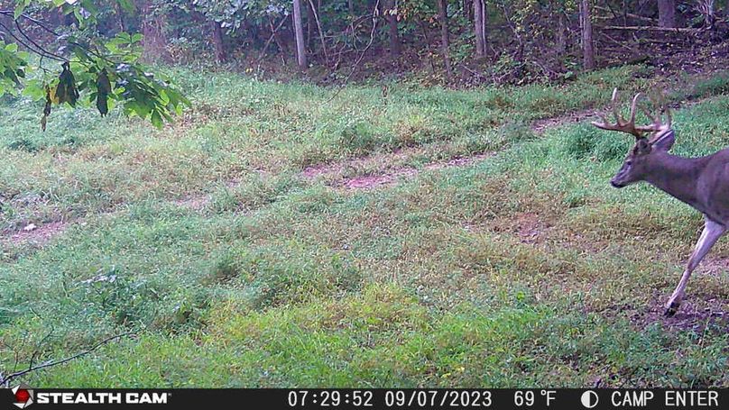 23090707295201000228