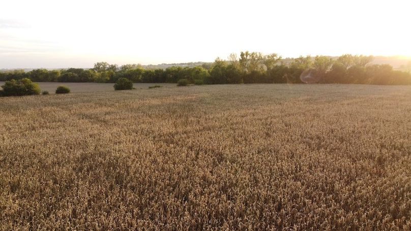 Copy of MILLS CO IA 51.37 - TRACT 2_17