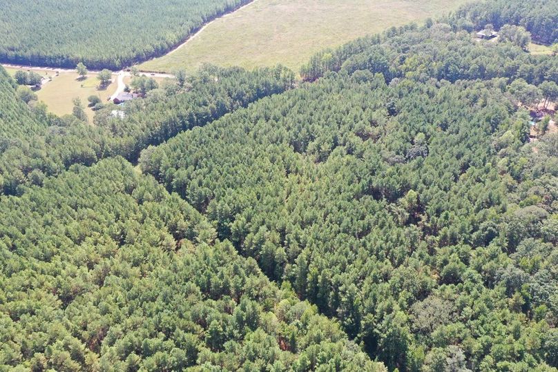 10AFF0A0-D3C2-4D51-A6B4-203FB010B56E_1_105_c