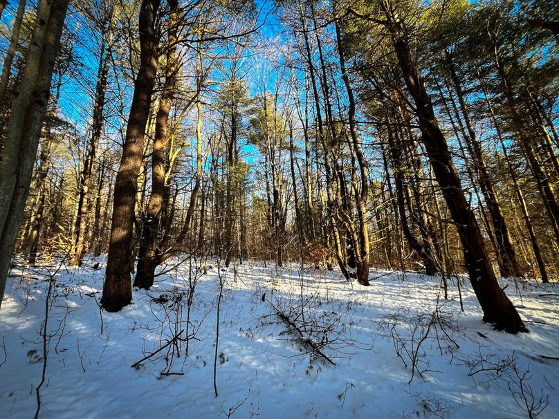 Tioga_11.9_Kilroy_Photos_18