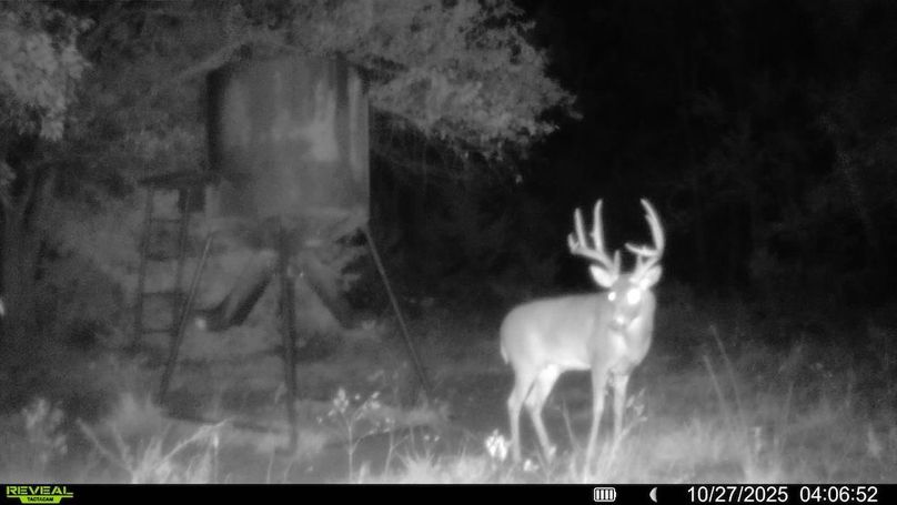 016578005325235-100-3-10272025040652-SYFW00214