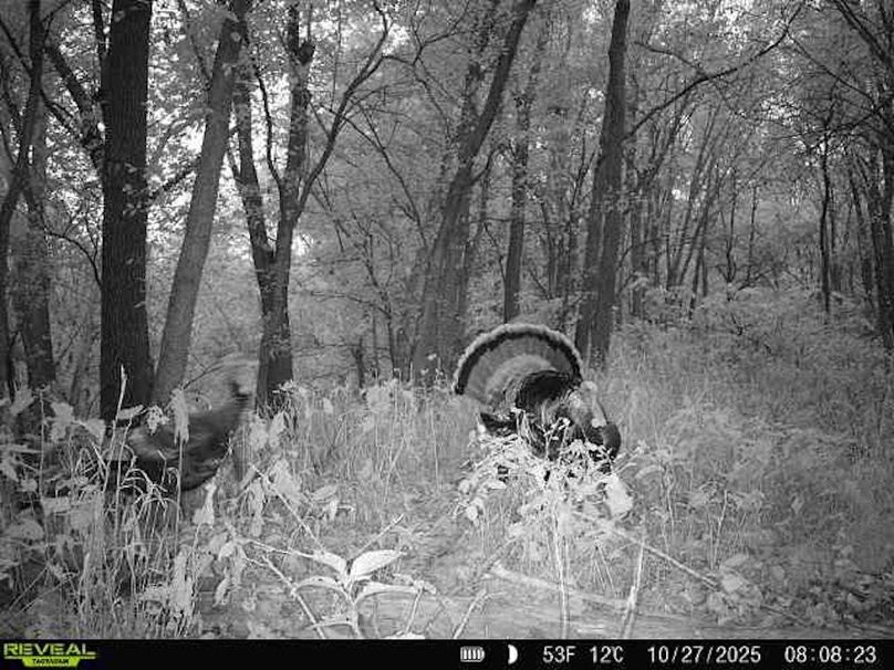 12B3B09F-6139-4535-A237-2E1B48C086A5