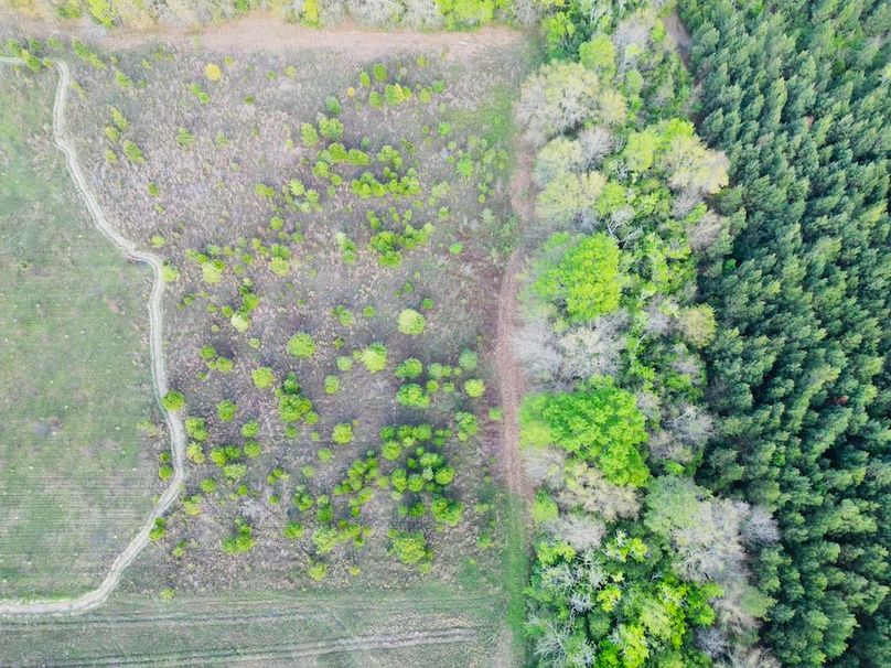 dji_fly_20260329_180642_926_1774823994366_photo