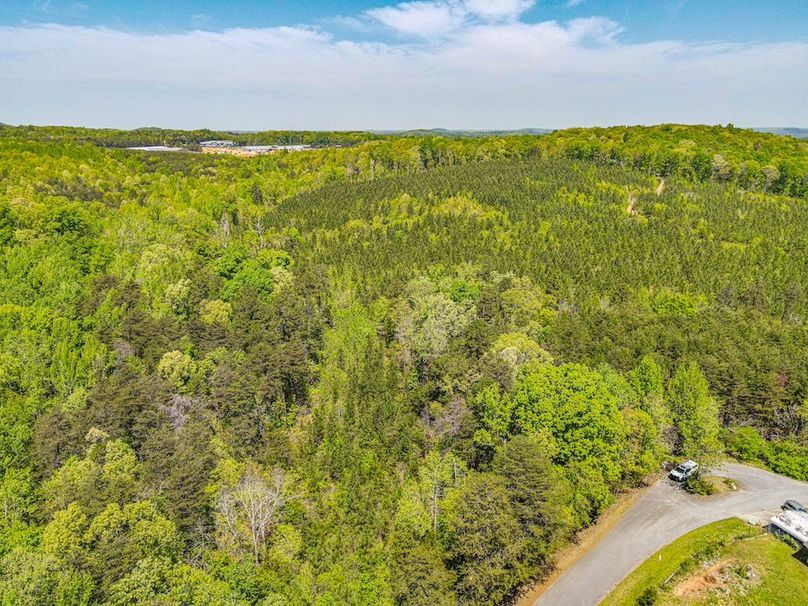 dji_fly_20250414_125458_361_1744649723158_photo