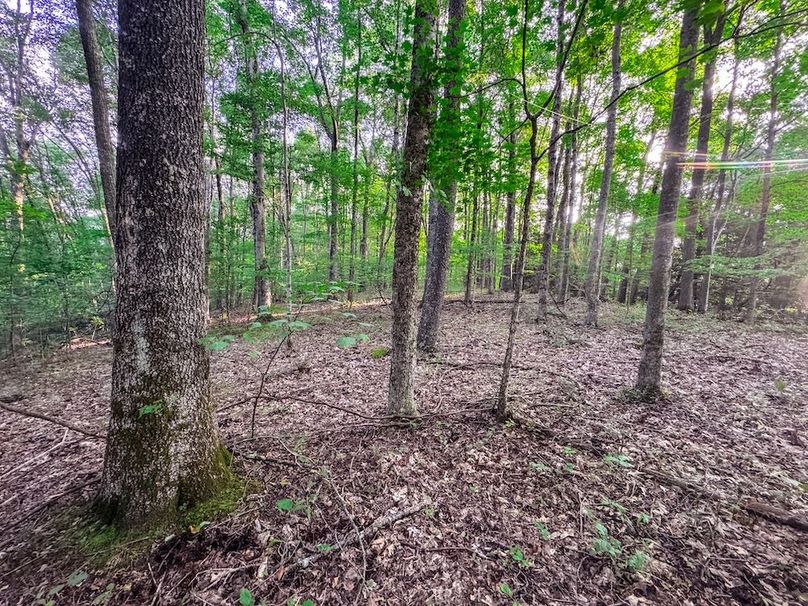 Webster, WV 42 AC Barger-35