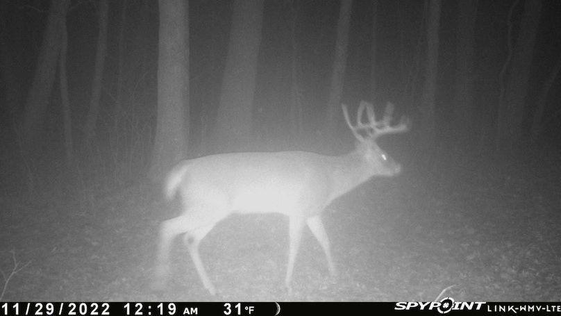 497287404464841511(1)