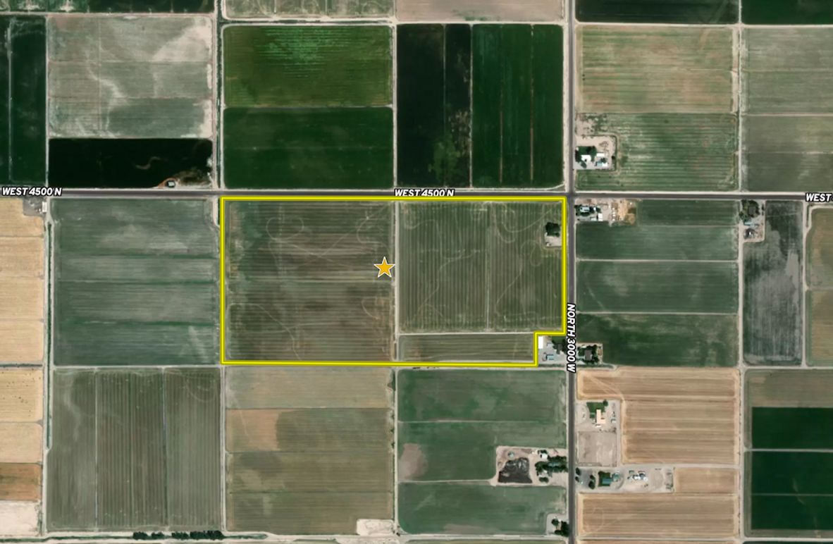 Screenshot 2026-02-17 at 12.46.49 PM