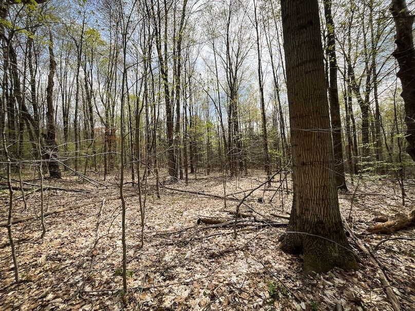 Tioga_76.65_Matyjas_Photos_23