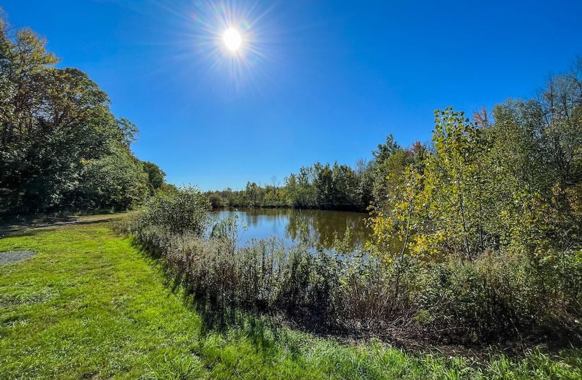 Wood 41.451, Collins -02