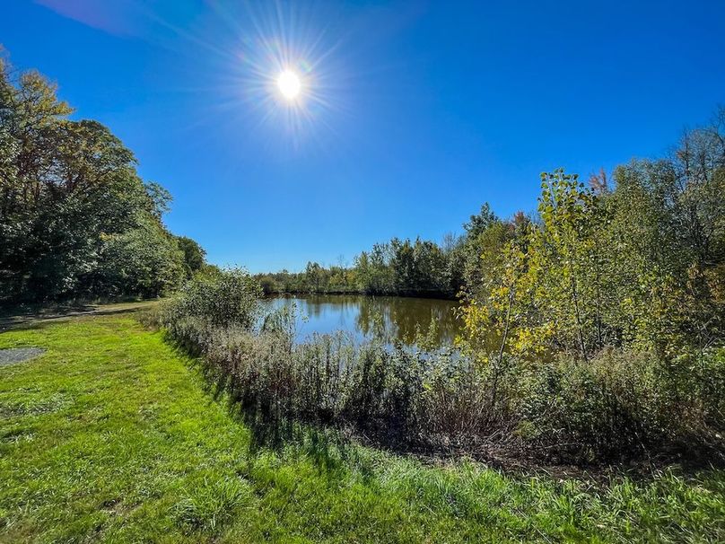 Wood 41.451, Collins -02