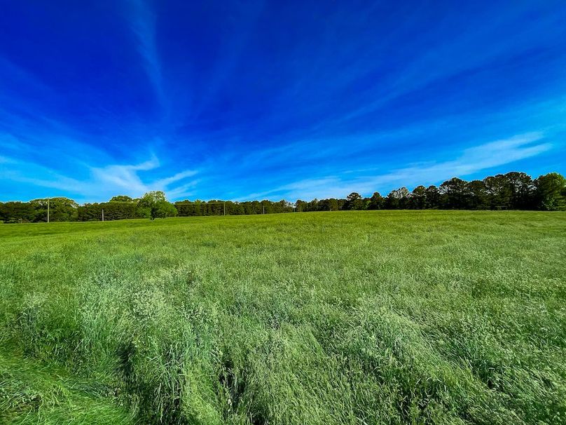 Haralson GA 100 McIntyre-33