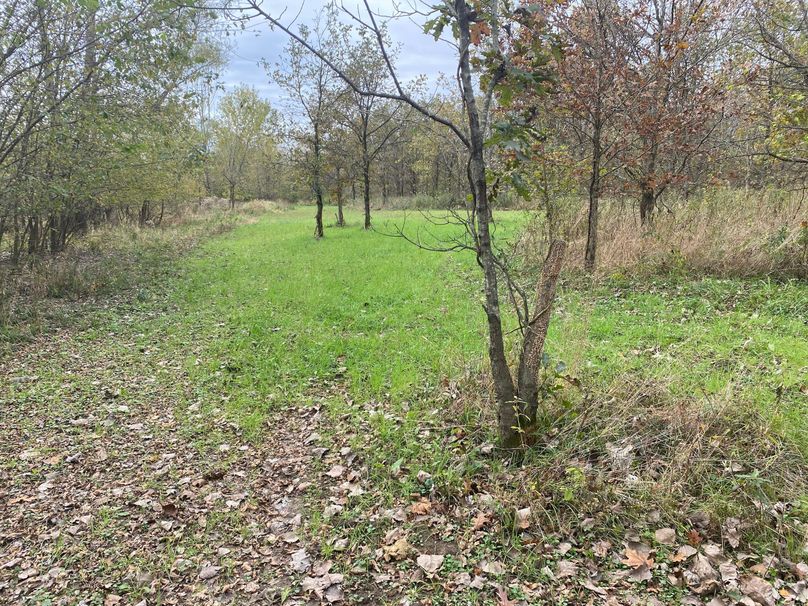 pics from late 2021 and early 2022. New plots being planted in Aug 2023 for new pics (69)