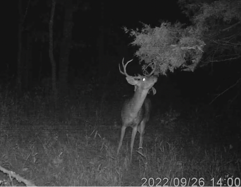 Screen Shot 2024-01-22 at 6.04.40 AM