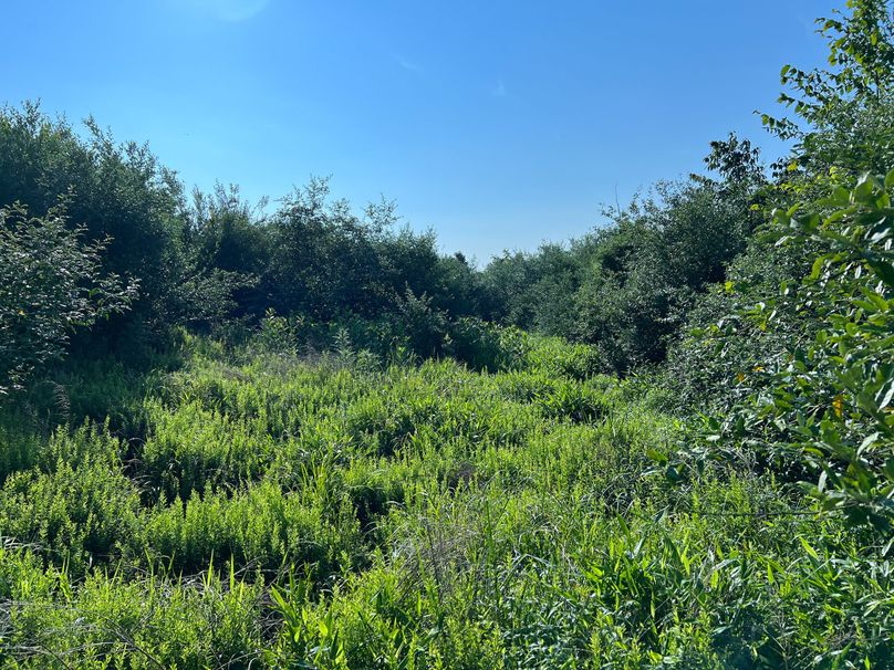 Wirt, WV 150.75 AC Tinnell-52