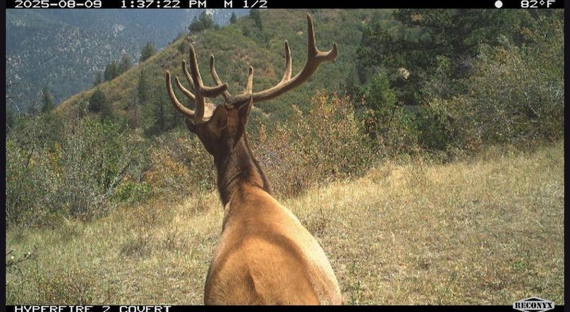 4A410354-9225-41BA-A956-203F9D78ACFA