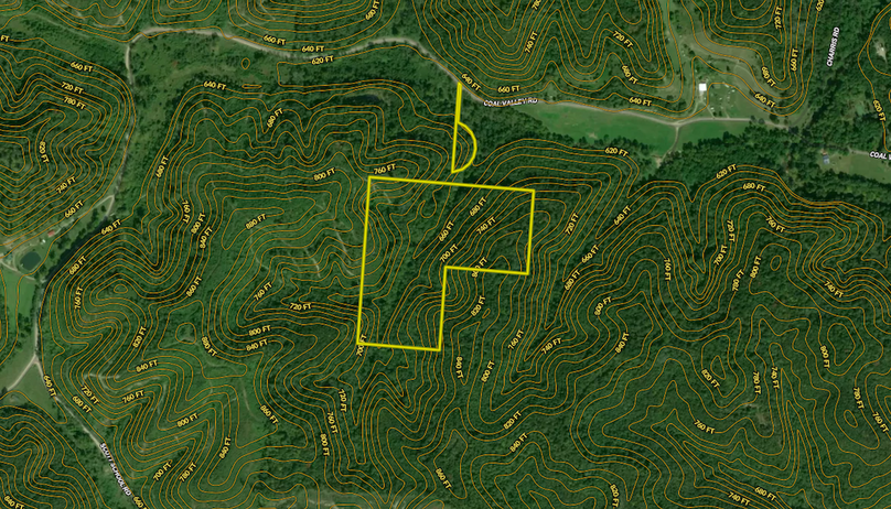 Screenshot 2024-08-13 at 9.58.42 AM