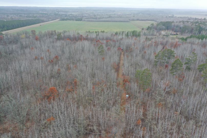 DJI_0611