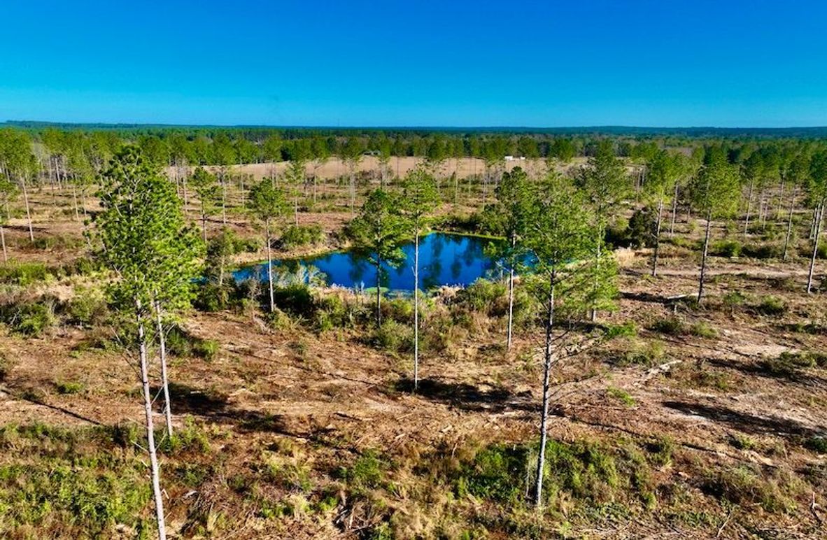 3C977F68-C3F5-40A8-B324-C64CD28FBDE1_1_201_a