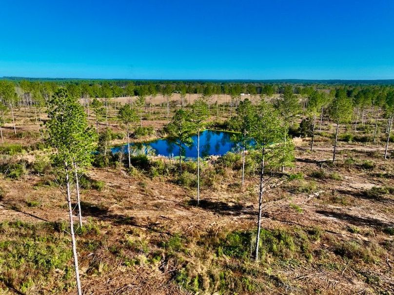 3C977F68-C3F5-40A8-B324-C64CD28FBDE1_1_201_a