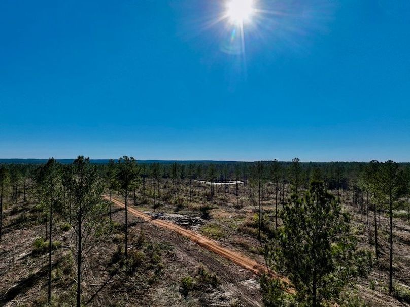 CFEE1BAA-9F87-4E45-8967-9DD63EE3088B_1_201_a